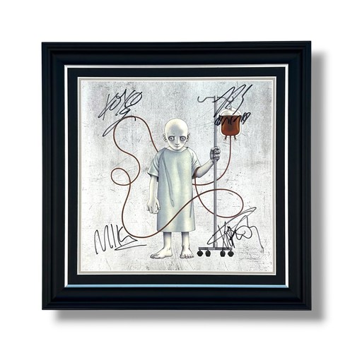 Chemical romance signed - my,