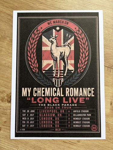 Chemical romance print - my,